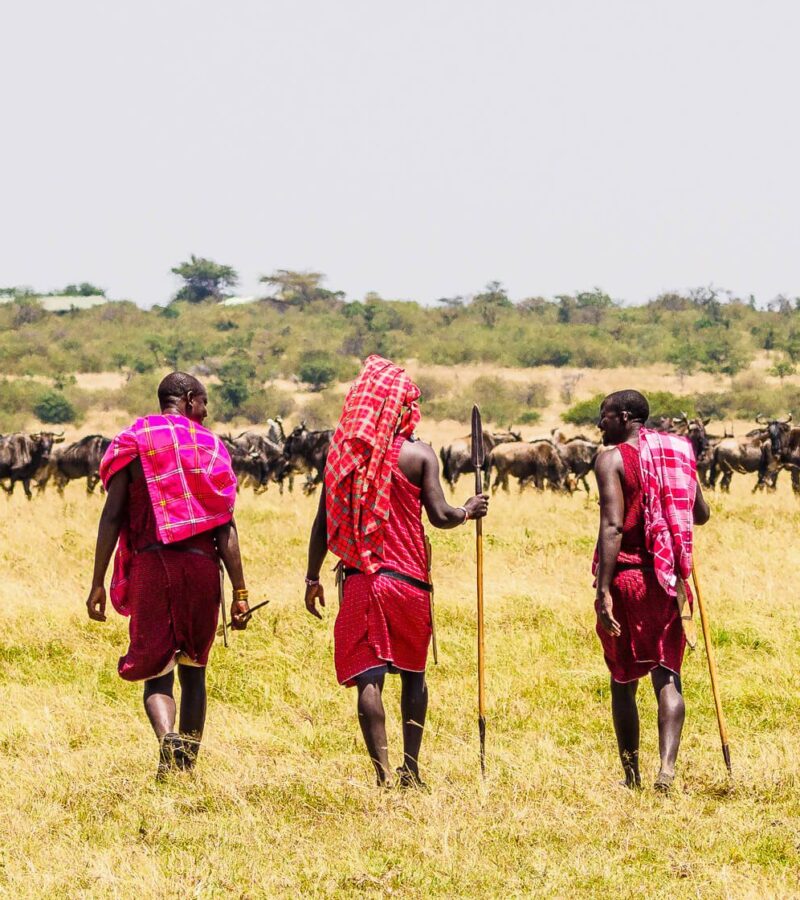 15 Days Kenya, Tanzania, & Rwanda Safari