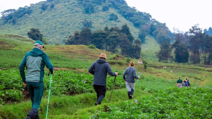 Discover the physical fitness needed for gorilla trekking in Rwanda. Get expert tips, training advice, and preparation insights for your adventure